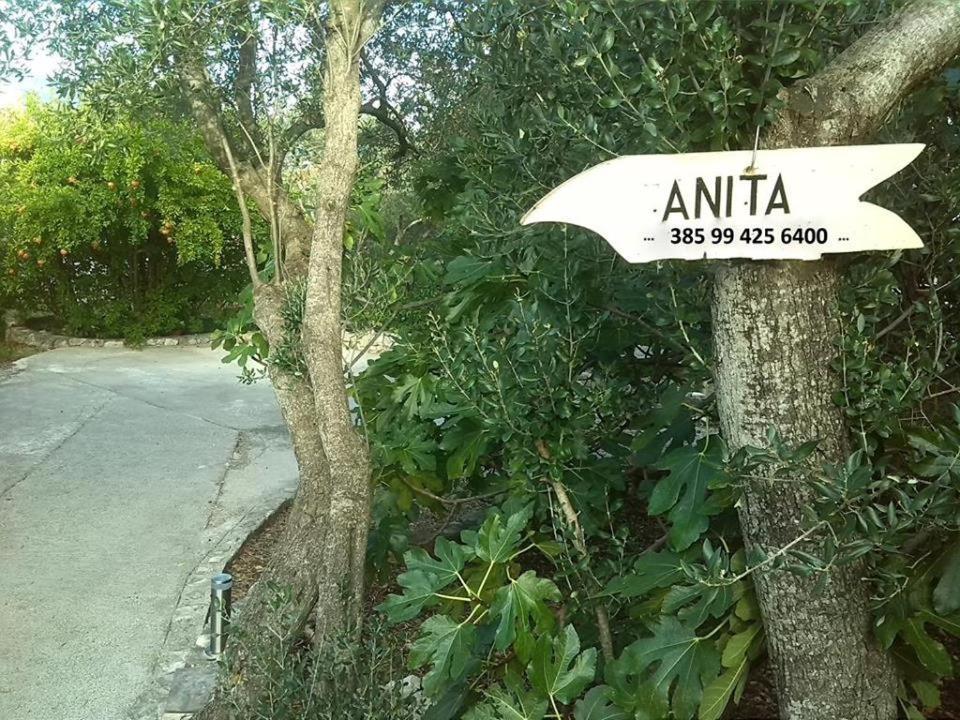 Apartmani Anita, Korcula Korcula Town Exterior foto